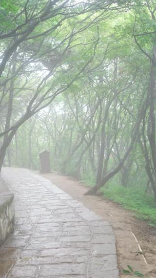 雨雾中山间风景实拍