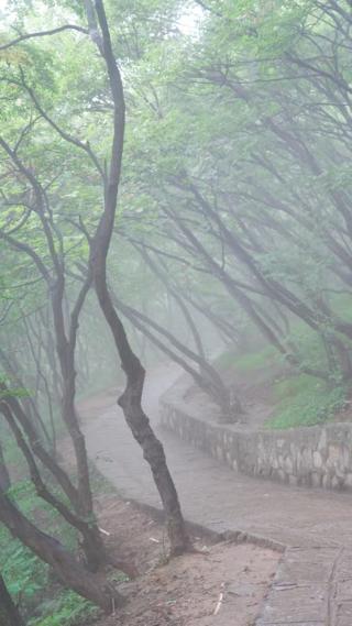 雨雾中山间风景实拍