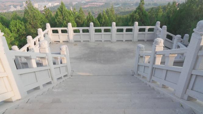 登山树林道路