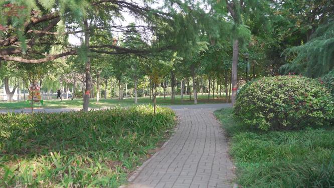 城市公园花草树木