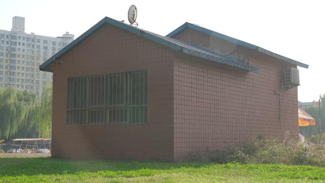 城市公园花草树木
