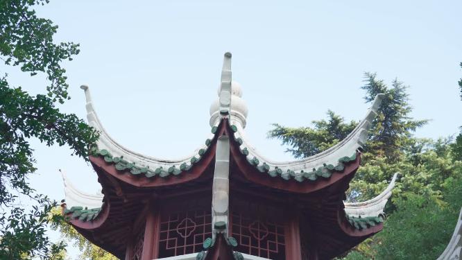 城市公园花草树木