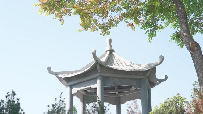 城市公园休息凉亭