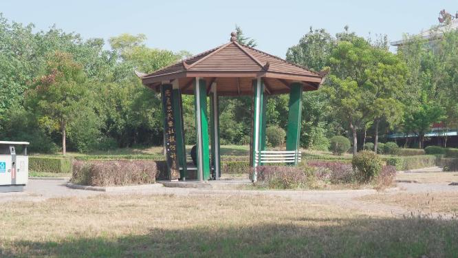 城市公园休息凉亭