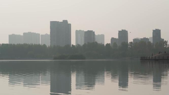 城市湿地公园水面剪影