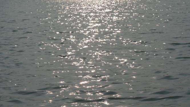 4k逆光波光粼粼金色湖面水面