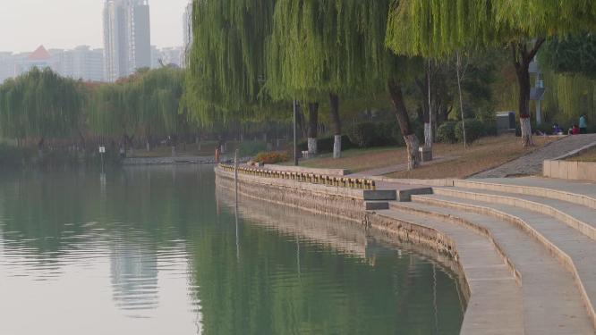 城市湿地公园水面剪影