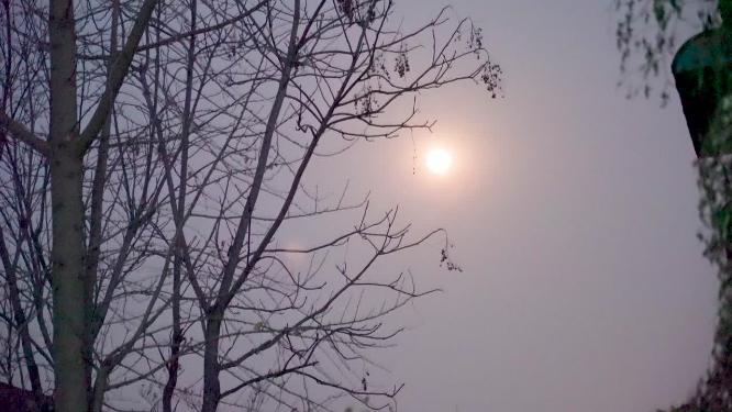 老旧居民区夜晚月光实拍视频