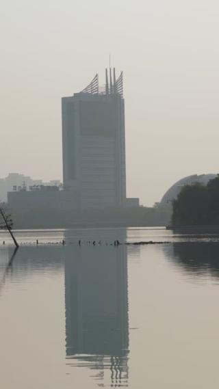 城市湿地公园水面剪影