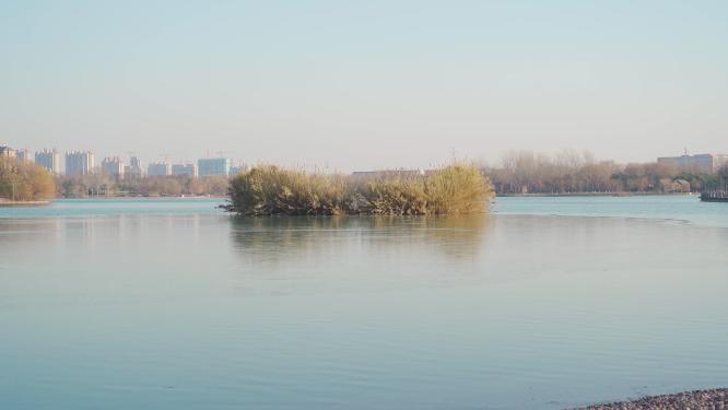 湿地公园