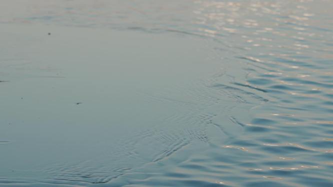 湿地公园