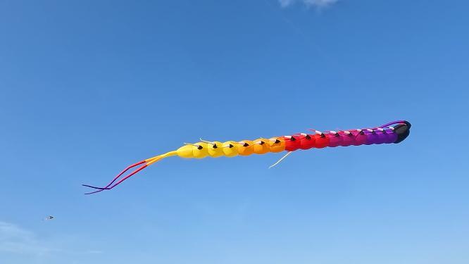 建筑海边沙滩的风筝