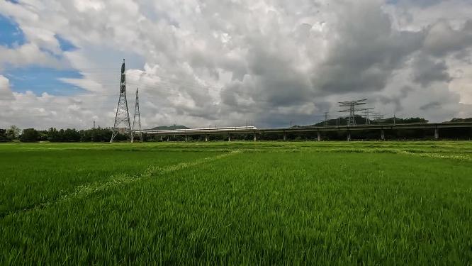 行驶稻田高铁
