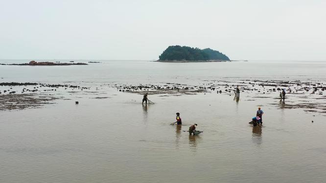 海边退潮勤劳渔家工作忙