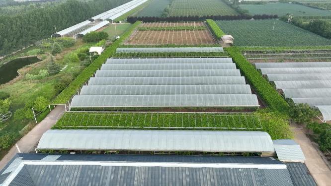 白鹿原葡萄主题公园合集航拍葡萄示范基地