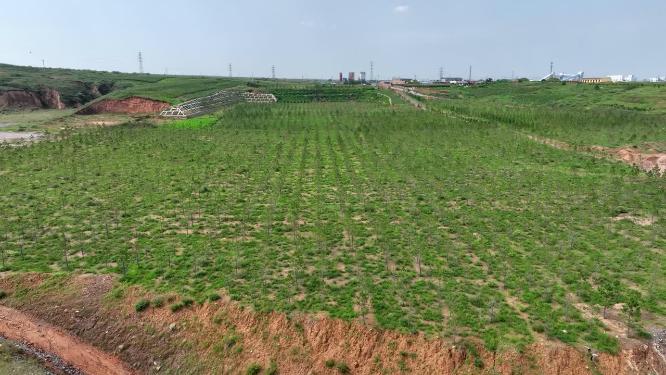 煤矿绿化道路生态恢复陕煤道路绿化工程航拍