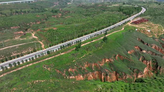 绿化道路