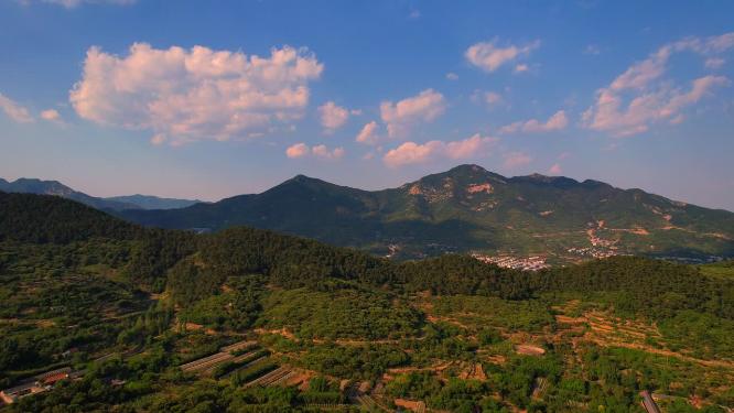 山野 村庄