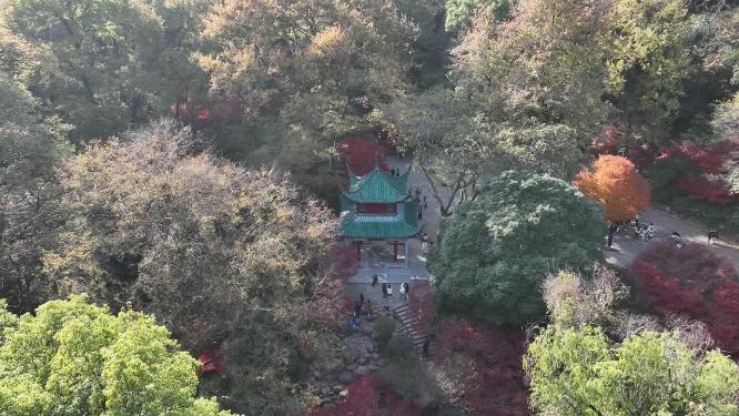 长沙爱晚亭