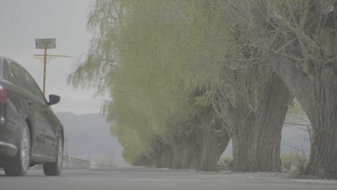 一辆汽车驶过公路