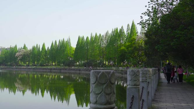 长沙烈士公园湖边空镜