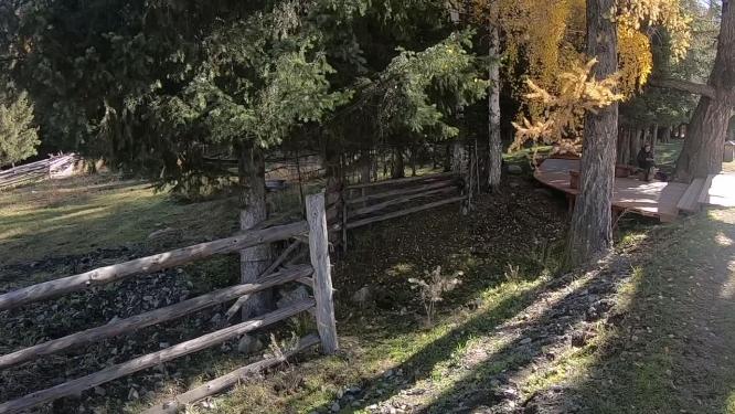 新疆 北疆 白哈巴 禾木 秋景 延时 