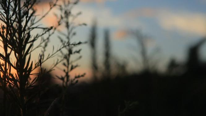 夕阳 火烧云 山间夕阳 
