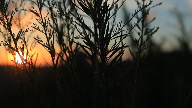 夕阳 火烧云 山间夕阳 