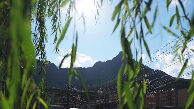 蓝天下的山峰柳树前景