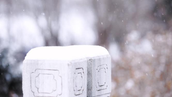 冬天大雪中的石墩石柱