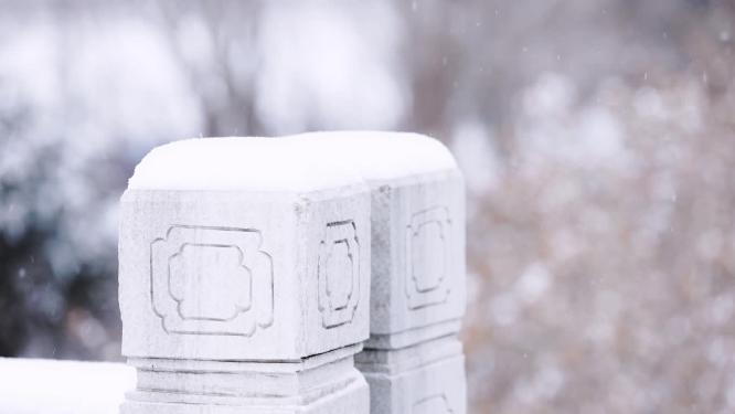 冬季雪花飘落特写镜头