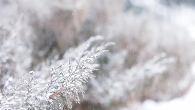 大雪天下雪高清特写素材