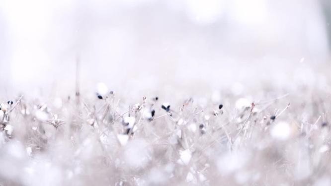 微距特写飘落的雪花素材