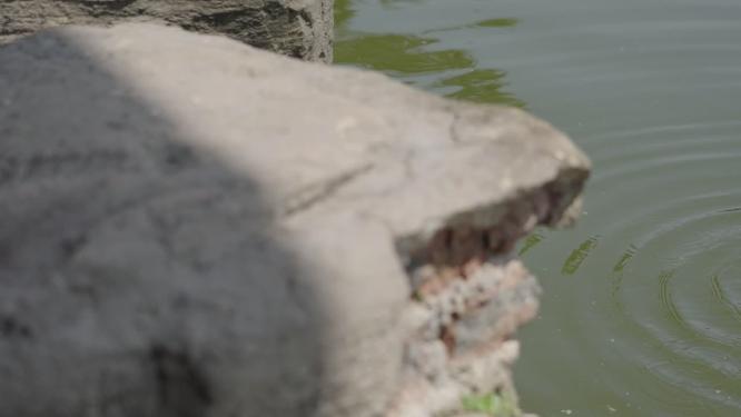 水滴落在水面上泛起涟漪