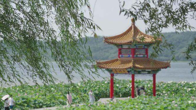 沈阳棋盘山周围都是荷花的秀湖亭