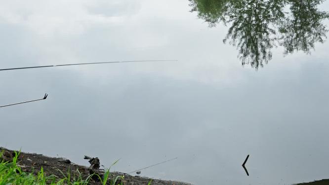 在河边钓鱼