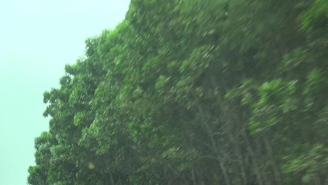 深圳空境-组合