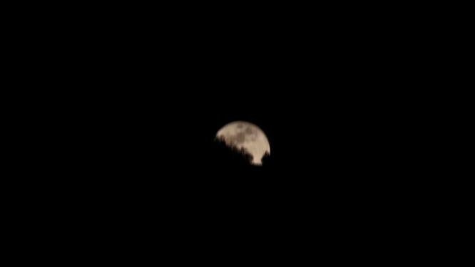 漆黑的月亮摄影