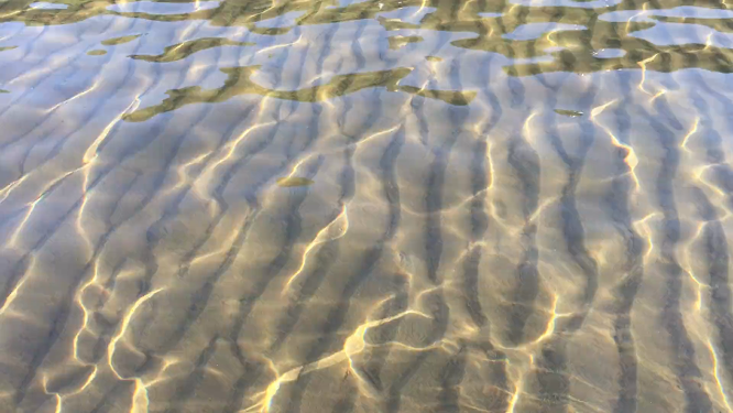波光粼粼的水面