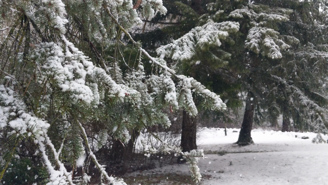 东北雪景风景空镜