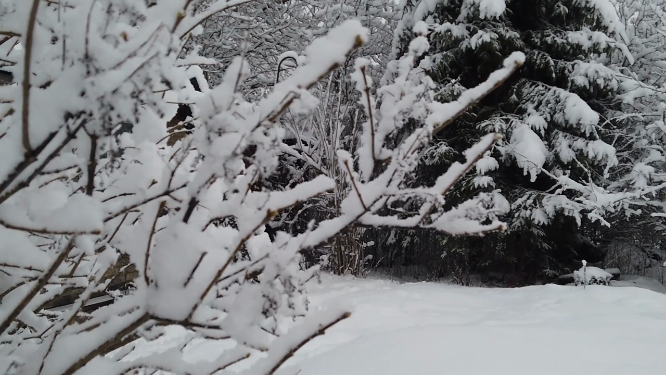 东北雪景风景空镜