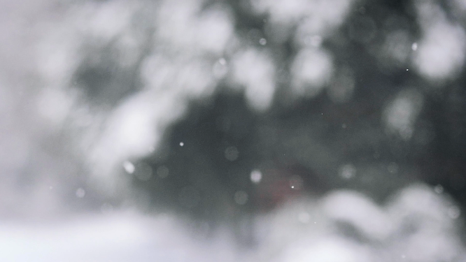东北雪景风景空镜