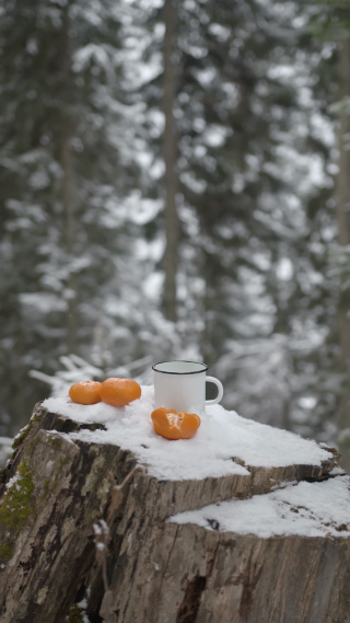 雪景之中的静物拍摄 橘子 茶