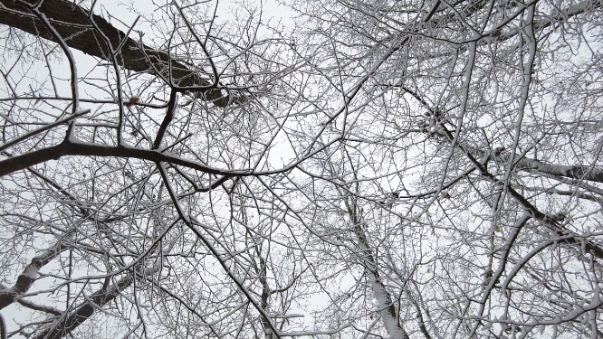 东北雪景风景空镜