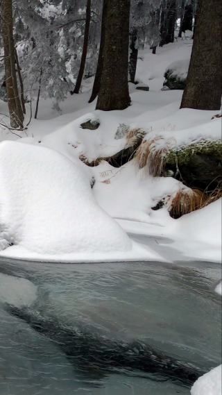 新疆河流雪景拍摄