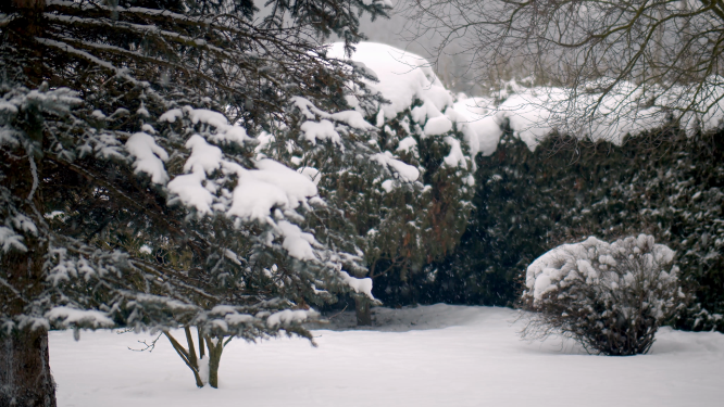 东北雪景风景空镜