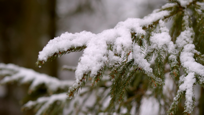 东北雪景风景空镜