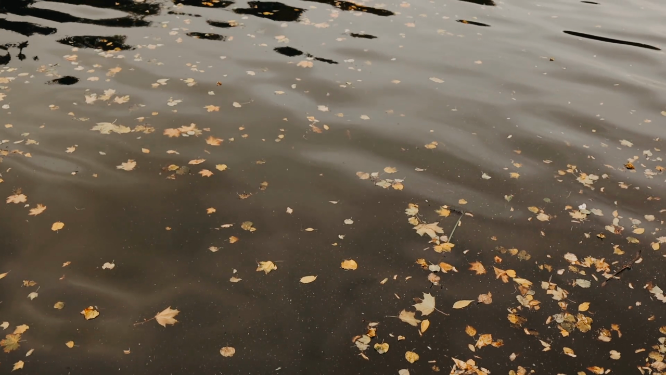 潺潺流水的自然风景