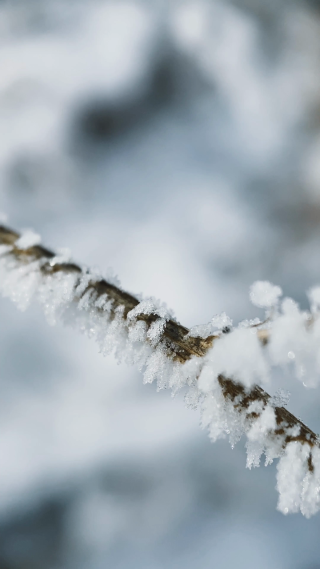 东北雪景风景空镜