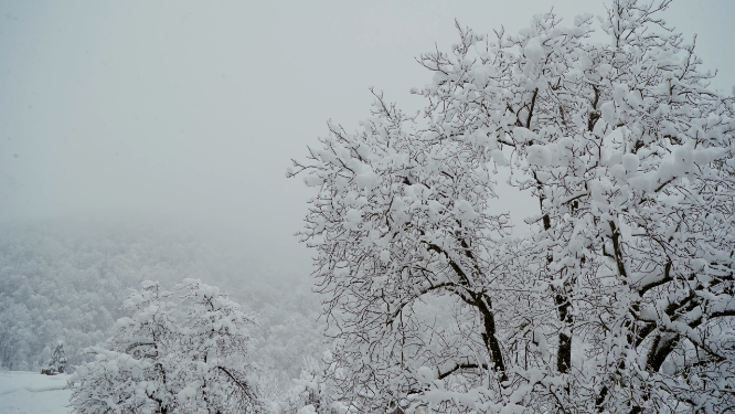 东北雪景风景空镜